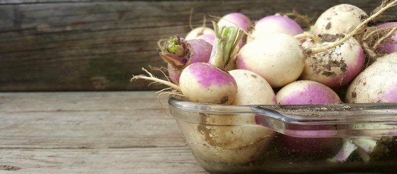 5 Ways to Use Turnips in Your Next Meal Savor Culinary Services