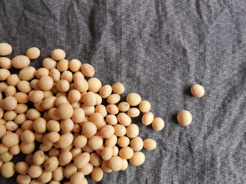 What Cutting Out Soy Can Do For Your Body