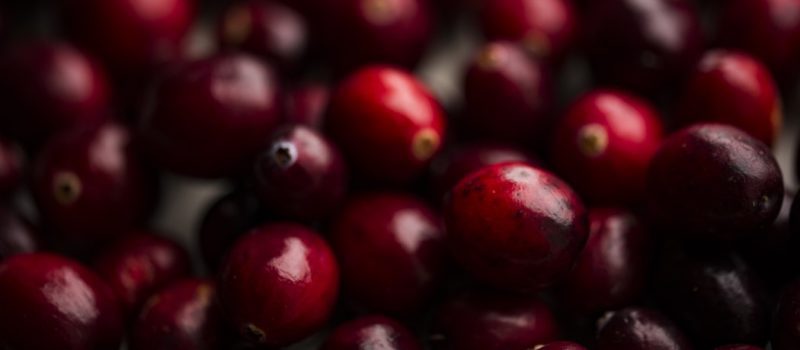 Delicious Ways to Use Cranberries This Thanksgiving (Other than in Cranberry Sauce) Savor Culinary Services